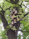 PIC01663.jpg