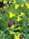 DSC00429.jpg