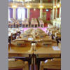 DSC00376_th.jpg