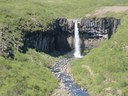 IMG_0460.JPG