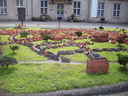 100_1740 Kopie.gif