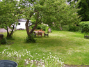 100_2313 Kopie.gif