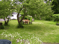 100_2313 Kopie.gif