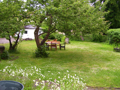 100_2313.jpg