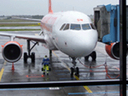100_2382 Kopie.gif