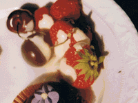 Botschaftsessen Kopie.gif