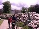 CIMG4065 Kopie.gif