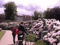 CIMG4065 Kopie.gif