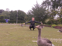 CIMG4295 Kopie.gif