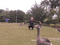CIMG4295 Kopie.gif