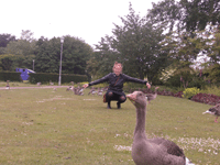CIMG4295 Kopie.gif