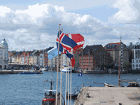 DSC_0448.gif