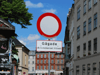 DSC_0542.gif