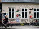 DSC_0576.gif