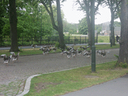 Exkursion186 Kopie.gif