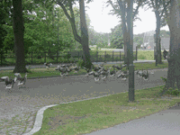 Exkursion186 Kopie.gif
