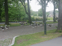 Exkursion186 Kopie.gif
