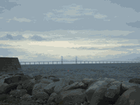 Exkursion200 Kopie.gif