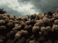 Exkursion25 Kopie.gif