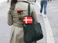 IMG_4414 Kopie.gif