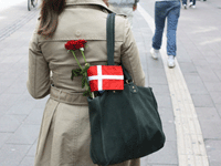 IMG_4414 Kopie.gif