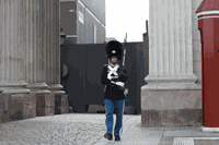 IMG_4484 Kopie.gif