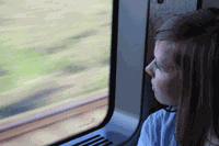 IMG_4560 Kopie.gif