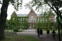 IMG_4585 Kopie.gif