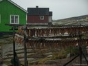 56In Oqaatsut.jpg