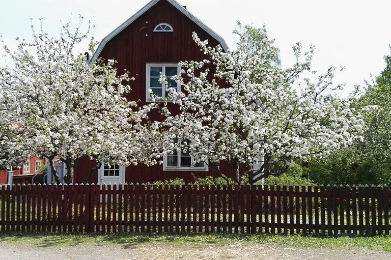 Liebe in Linköping