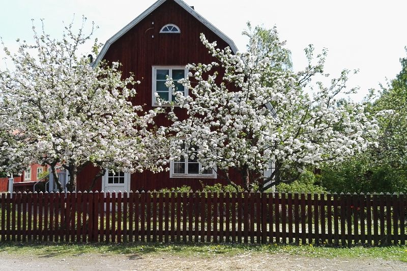 Liebe in Linköping