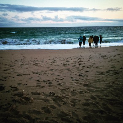 2 Cotentin Strand.jpg