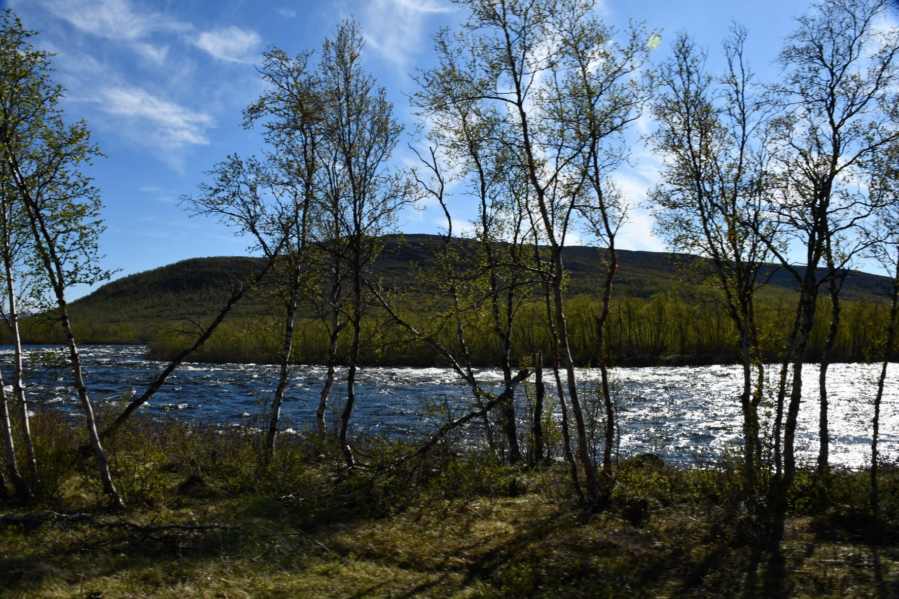 foto-17.JPG
