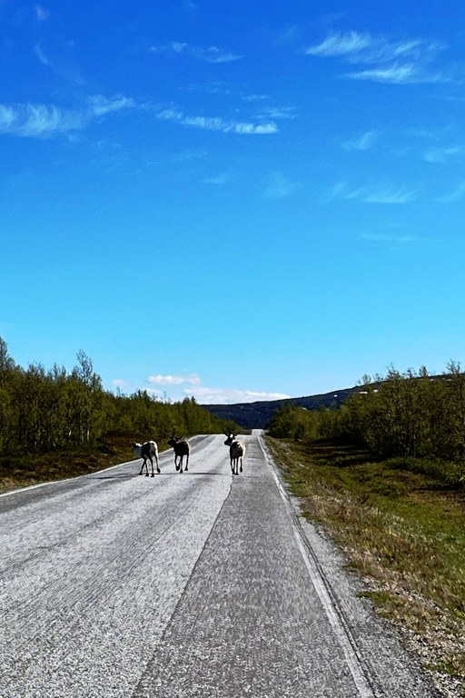 foto-20.jpg