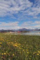 foto-36.jpg