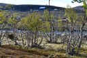 foto-38.JPG