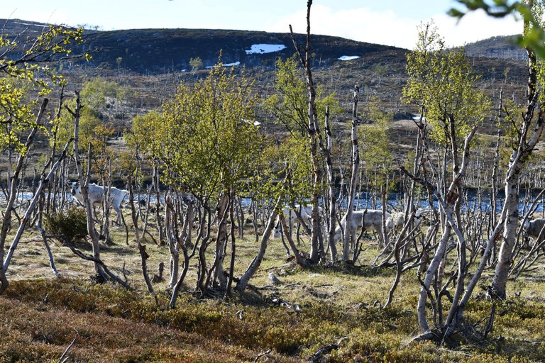 foto-38.JPG