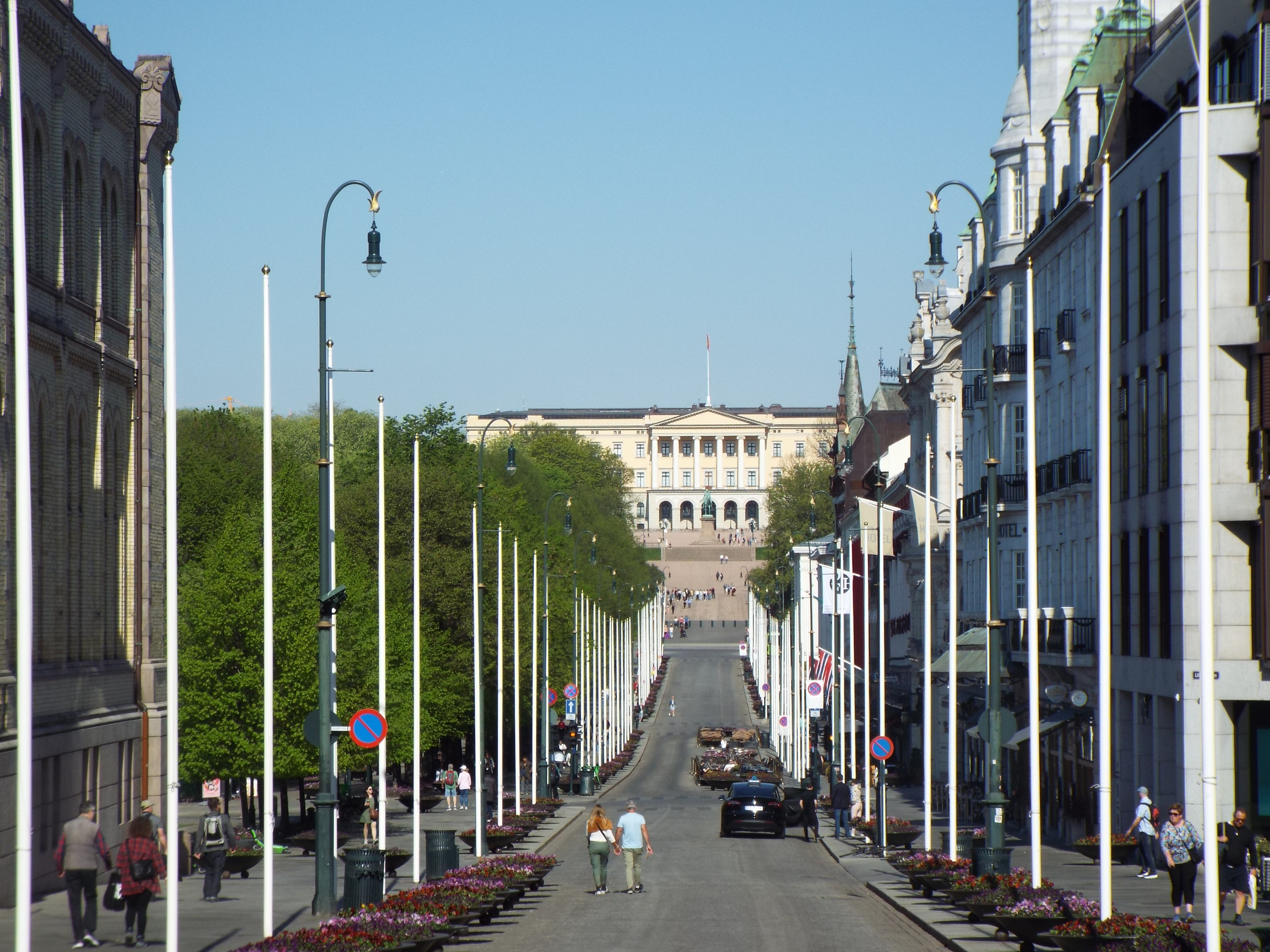 Foto: Karl Johans Gate og slottet, Frederik Witte