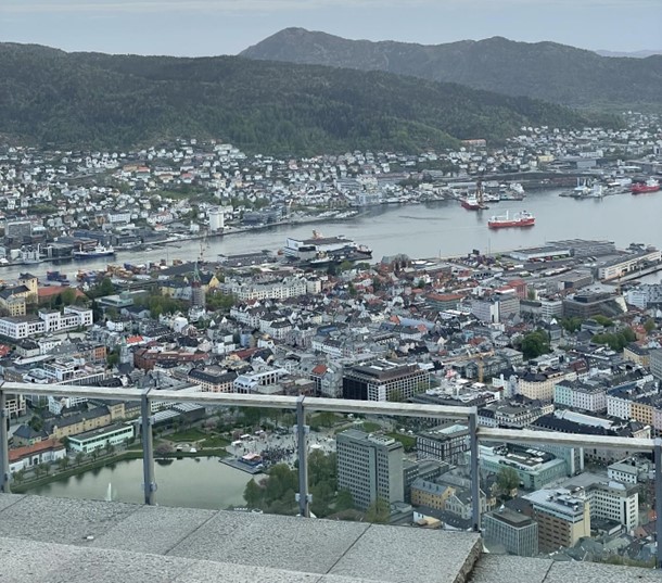 Foto: Blick vom Fløyen, Frederik Witte