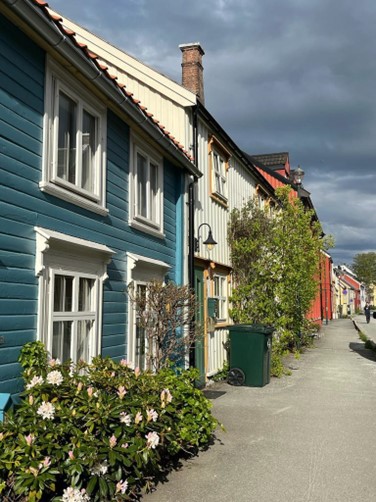 Foto: Bakklandet in Trondheim, Ivy Kräuter