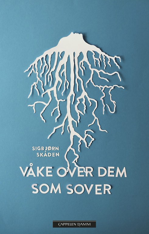skaden_vakeoverdem.jpg