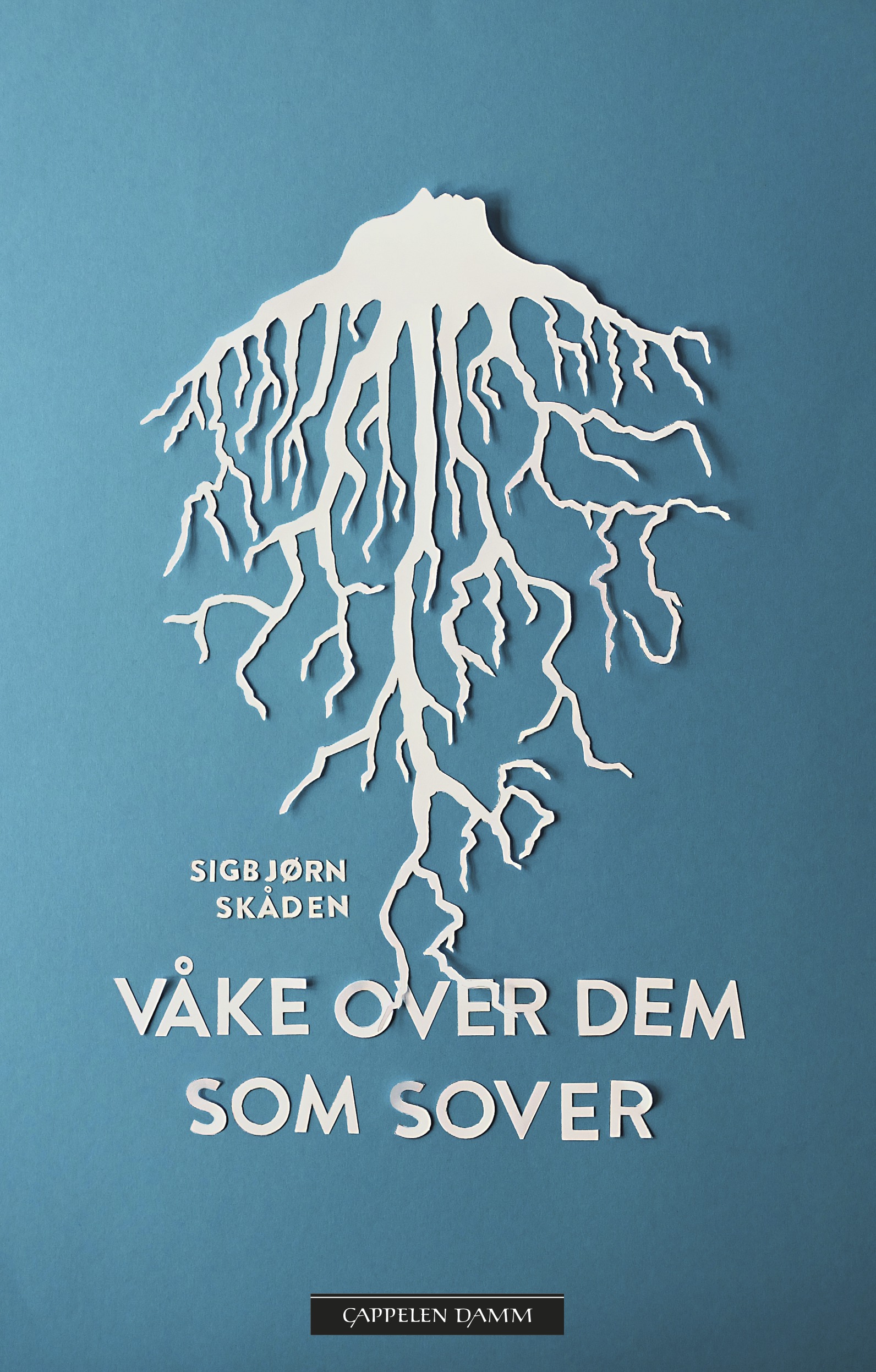 skaden_vakeoverdem.jpg