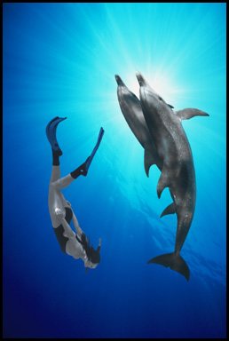 dolphgrl.jpg