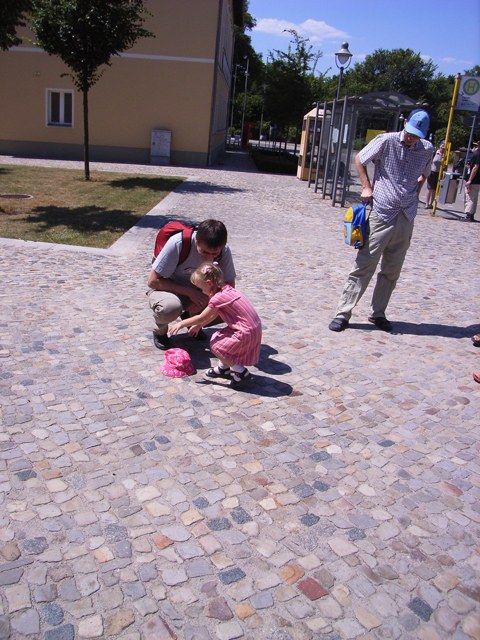 RIMG0019.JPG