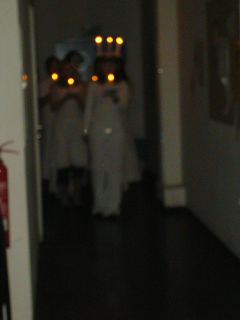 P1000569.JPG