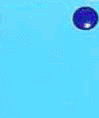 luciaani.gif