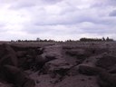 RIMG0088.JPG