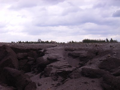 RIMG0088.JPG