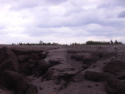 RIMG0088.JPG