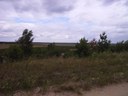 RIMG0091.JPG